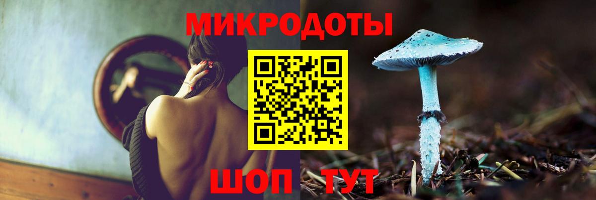 Сальск  Галлюциногенные грибы Psilocybine cubensis  Псилоцибиновые грибы Magic Shrooms  Вход с VPN 